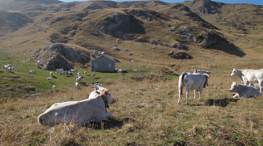 Itinerari partigiani Vaccarile Pesio